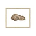 Picture of Baby grizzly bear II _GroupedProduct_Rectangle_Landscape_Mini_ _GroupedProduct_Rectangle_Landscape_Framed_Matted_