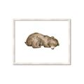 Picture of Baby grizzly bear II _GroupedProduct_Rectangle_Landscape_Mini_ _GroupedProduct_Rectangle_Landscape_Framed_Matted_
