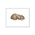 Picture of Baby grizzly bear II _GroupedProduct_Rectangle_Landscape_Mini_ _GroupedProduct_Rectangle_Landscape_Framed_Matted_