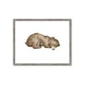 Picture of Baby grizzly bear II _GroupedProduct_Rectangle_Landscape_Mini_ _GroupedProduct_Rectangle_Landscape_Framed_Matted_