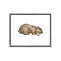 Picture of Baby grizzly bear II _GroupedProduct_Rectangle_Landscape_Mini_ _GroupedProduct_Rectangle_Landscape_Framed_Matted_