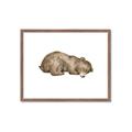 Picture of Baby grizzly bear II _GroupedProduct_Rectangle_Landscape_Mini_ _GroupedProduct_Rectangle_Landscape_Framed_Matted_
