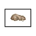 Picture of Baby grizzly bear II _GroupedProduct_Rectangle_Landscape_Mini_ _GroupedProduct_Rectangle_Landscape_Framed_Matted_