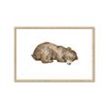 Picture of Baby grizzly bear II _GroupedProduct_Rectangle_Landscape_Mini_ _GroupedProduct_Rectangle_Landscape_Framed_Matted_