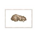 Picture of Baby grizzly bear II _GroupedProduct_Rectangle_Landscape_Mini_ _GroupedProduct_Rectangle_Landscape_Framed_Matted_