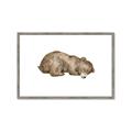 Picture of Baby grizzly bear II _GroupedProduct_Rectangle_Landscape_Mini_ _GroupedProduct_Rectangle_Landscape_Framed_Matted_