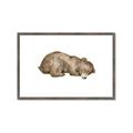 Picture of Baby grizzly bear II _GroupedProduct_Rectangle_Landscape_Mini_ _GroupedProduct_Rectangle_Landscape_Framed_Matted_