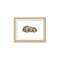 Picture of Baby grizzly bear II _GroupedProduct_Rectangle_Landscape_Mini_ _GroupedProduct_Rectangle_Landscape_Framed_Matted_