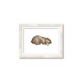 Picture of Baby grizzly bear II _GroupedProduct_Rectangle_Landscape_Mini_ _GroupedProduct_Rectangle_Landscape_Framed_Matted_