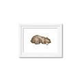 Picture of Baby grizzly bear II _GroupedProduct_Rectangle_Landscape_Mini_ _GroupedProduct_Rectangle_Landscape_Framed_Matted_
