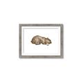 Picture of Baby grizzly bear II _GroupedProduct_Rectangle_Landscape_Mini_ _GroupedProduct_Rectangle_Landscape_Framed_Matted_