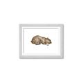 Picture of Baby grizzly bear II _GroupedProduct_Rectangle_Landscape_Mini_ _GroupedProduct_Rectangle_Landscape_Framed_Matted_