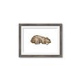 Picture of Baby grizzly bear II _GroupedProduct_Rectangle_Landscape_Mini_ _GroupedProduct_Rectangle_Landscape_Framed_Matted_