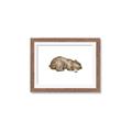 Picture of Baby grizzly bear II _GroupedProduct_Rectangle_Landscape_Mini_ _GroupedProduct_Rectangle_Landscape_Framed_Matted_