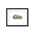 Picture of Baby grizzly bear II _GroupedProduct_Rectangle_Landscape_Mini_ _GroupedProduct_Rectangle_Landscape_Framed_Matted_