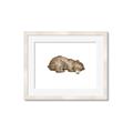 Picture of Baby grizzly bear II _GroupedProduct_Rectangle_Landscape_Mini_ _GroupedProduct_Rectangle_Landscape_Framed_Matted_
