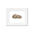 Picture of Baby grizzly bear II _GroupedProduct_Rectangle_Landscape_Mini_ _GroupedProduct_Rectangle_Landscape_Framed_Matted_