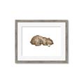 Picture of Baby grizzly bear II _GroupedProduct_Rectangle_Landscape_Mini_ _GroupedProduct_Rectangle_Landscape_Framed_Matted_