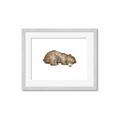 Picture of Baby grizzly bear II _GroupedProduct_Rectangle_Landscape_Mini_ _GroupedProduct_Rectangle_Landscape_Framed_Matted_