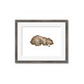Picture of Baby grizzly bear II _GroupedProduct_Rectangle_Landscape_Mini_ _GroupedProduct_Rectangle_Landscape_Framed_Matted_