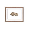 Picture of Baby grizzly bear II _GroupedProduct_Rectangle_Landscape_Mini_ _GroupedProduct_Rectangle_Landscape_Framed_Matted_