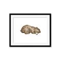 Picture of Baby grizzly bear II _GroupedProduct_Rectangle_Landscape_Mini_ _GroupedProduct_Rectangle_Landscape_Framed_Matted_