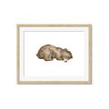 Picture of Baby grizzly bear II _GroupedProduct_Rectangle_Landscape_Mini_ _GroupedProduct_Rectangle_Landscape_Framed_Matted_