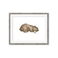 Picture of Baby grizzly bear II _GroupedProduct_Rectangle_Landscape_Mini_ _GroupedProduct_Rectangle_Landscape_Framed_Matted_