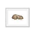 Picture of Baby grizzly bear II _GroupedProduct_Rectangle_Landscape_Mini_ _GroupedProduct_Rectangle_Landscape_Framed_Matted_