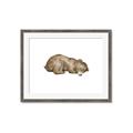 Picture of Baby grizzly bear II _GroupedProduct_Rectangle_Landscape_Mini_ _GroupedProduct_Rectangle_Landscape_Framed_Matted_