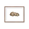 Picture of Baby grizzly bear II _GroupedProduct_Rectangle_Landscape_Mini_ _GroupedProduct_Rectangle_Landscape_Framed_Matted_