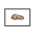 Picture of Baby grizzly bear II _GroupedProduct_Rectangle_Landscape_Mini_ _GroupedProduct_Rectangle_Landscape_Framed_Matted_