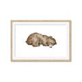Picture of Baby grizzly bear II _GroupedProduct_Rectangle_Landscape_Mini_ _GroupedProduct_Rectangle_Landscape_Framed_Matted_
