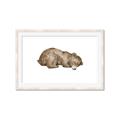 Picture of Baby grizzly bear II _GroupedProduct_Rectangle_Landscape_Mini_ _GroupedProduct_Rectangle_Landscape_Framed_Matted_