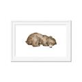 Picture of Baby grizzly bear II _GroupedProduct_Rectangle_Landscape_Mini_ _GroupedProduct_Rectangle_Landscape_Framed_Matted_