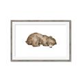 Picture of Baby grizzly bear II _GroupedProduct_Rectangle_Landscape_Mini_ _GroupedProduct_Rectangle_Landscape_Framed_Matted_