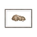 Picture of Baby grizzly bear II _GroupedProduct_Rectangle_Landscape_Mini_ _GroupedProduct_Rectangle_Landscape_Framed_Matted_