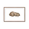 Picture of Baby grizzly bear II _GroupedProduct_Rectangle_Landscape_Mini_ _GroupedProduct_Rectangle_Landscape_Framed_Matted_