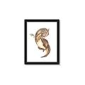Picture of Adorable Flying Dragon I _GroupedProduct_Rectangle_Portrait_Mini_ _GroupedProduct_Rectangle_Portrait_Framed_Matted_