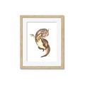 Picture of Adorable Flying Dragon I _GroupedProduct_Rectangle_Portrait_Mini_ _GroupedProduct_Rectangle_Portrait_Framed_Matted_