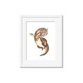 Picture of Adorable Flying Dragon I _GroupedProduct_Rectangle_Portrait_Mini_ _GroupedProduct_Rectangle_Portrait_Framed_Matted_