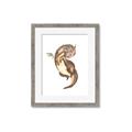 Picture of Adorable Flying Dragon I _GroupedProduct_Rectangle_Portrait_Mini_ _GroupedProduct_Rectangle_Portrait_Framed_Matted_