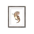 Picture of Adorable Flying Dragon I _GroupedProduct_Rectangle_Portrait_Mini_ _GroupedProduct_Rectangle_Portrait_Framed_Matted_