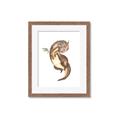 Picture of Adorable Flying Dragon I _GroupedProduct_Rectangle_Portrait_Mini_ _GroupedProduct_Rectangle_Portrait_Framed_Matted_