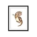 Picture of Adorable Flying Dragon I _GroupedProduct_Rectangle_Portrait_Mini_ _GroupedProduct_Rectangle_Portrait_Framed_Matted_