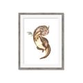 Picture of Adorable Flying Dragon I _GroupedProduct_Rectangle_Portrait_Mini_ _GroupedProduct_Rectangle_Portrait_Framed_Matted_
