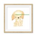 Picture of Golden retriever _GroupedProduct_Square_Mini_ _GroupedProduct_Square_Framed_Matted_