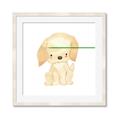 Picture of Golden retriever _GroupedProduct_Square_Mini_ _GroupedProduct_Square_Framed_Matted_