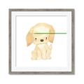 Picture of Golden retriever _GroupedProduct_Square_Mini_ _GroupedProduct_Square_Framed_Matted_