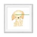 Picture of Golden retriever _GroupedProduct_Square_Mini_ _GroupedProduct_Square_Framed_Matted_